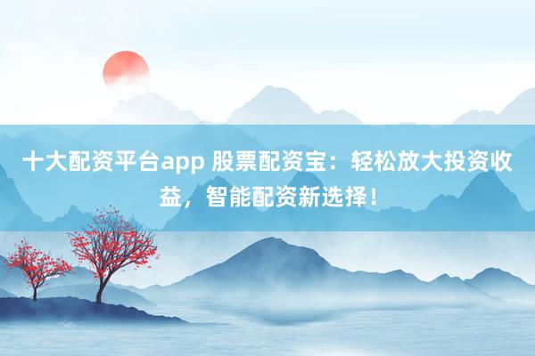 十大配资平台app 股票配资宝：轻松放大投资收益，智能配资新选择！